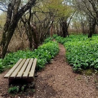 最初のピーク三国山  ベンチもあってゆっくり休憩