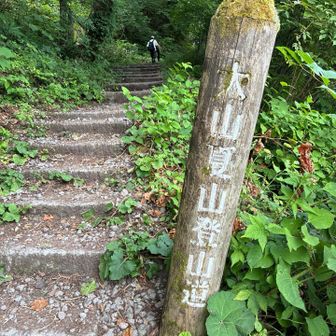 大山夏山登山道
