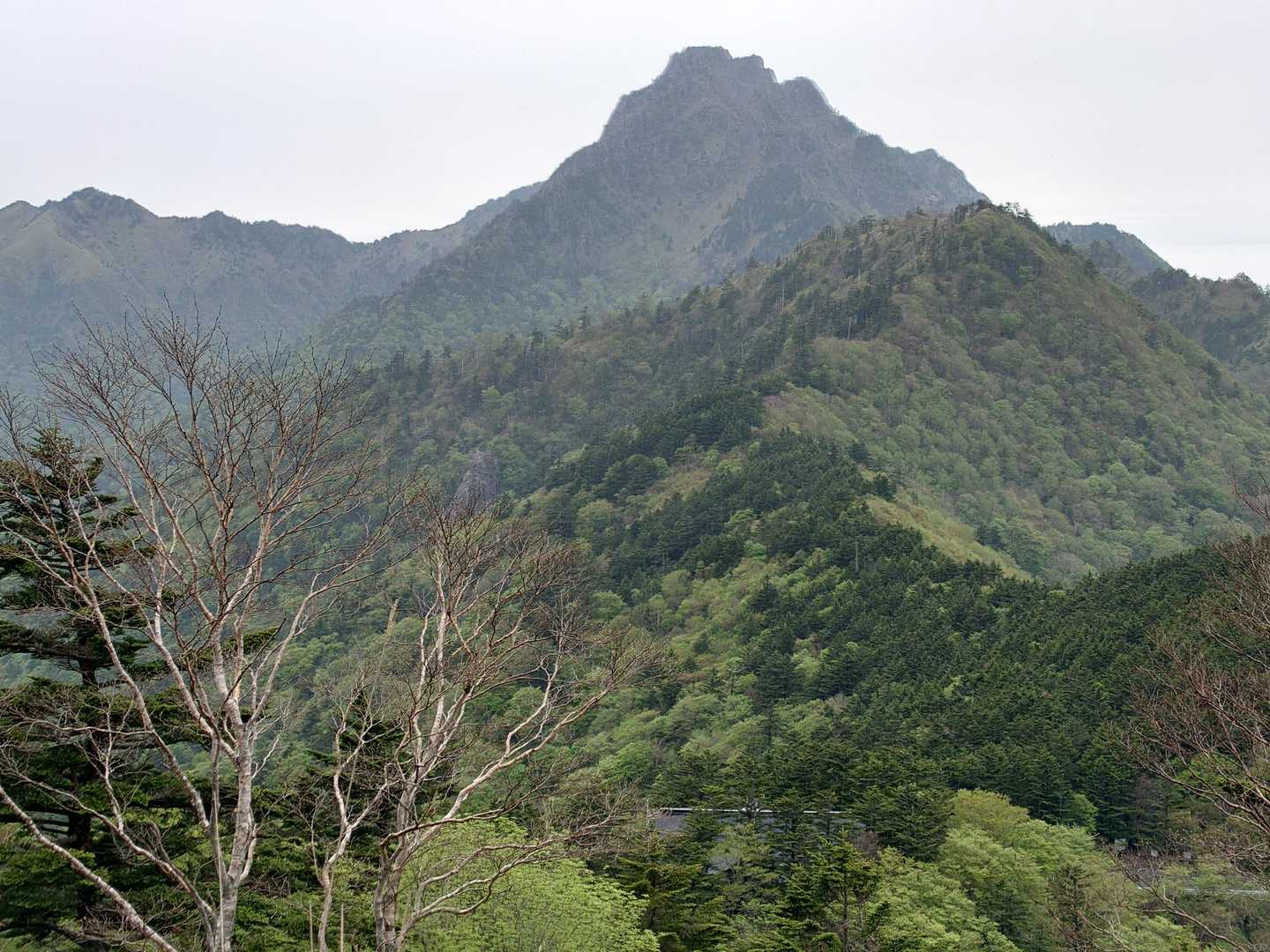 岩黒山 周回コースの写真