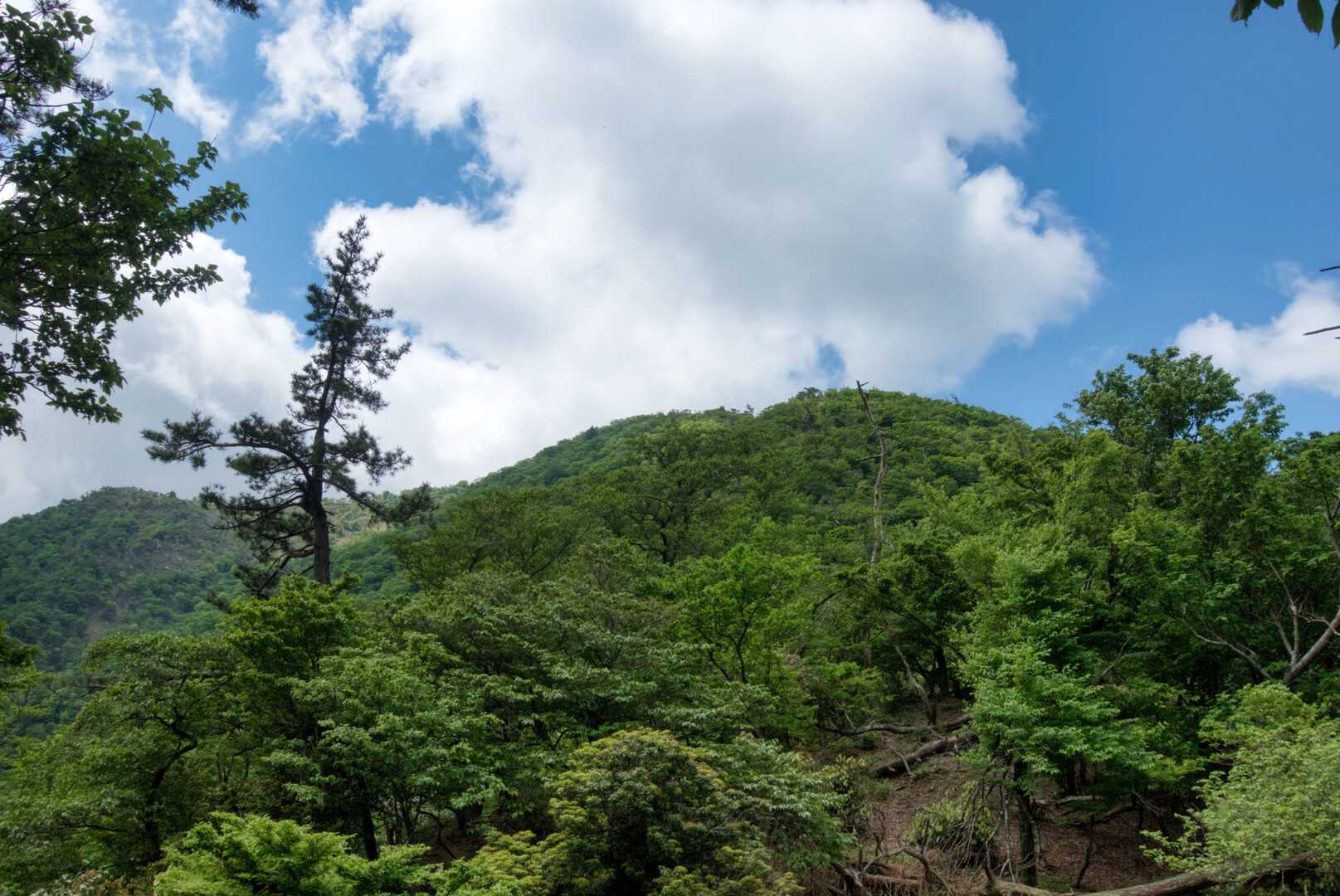 ヤケオ山の写真