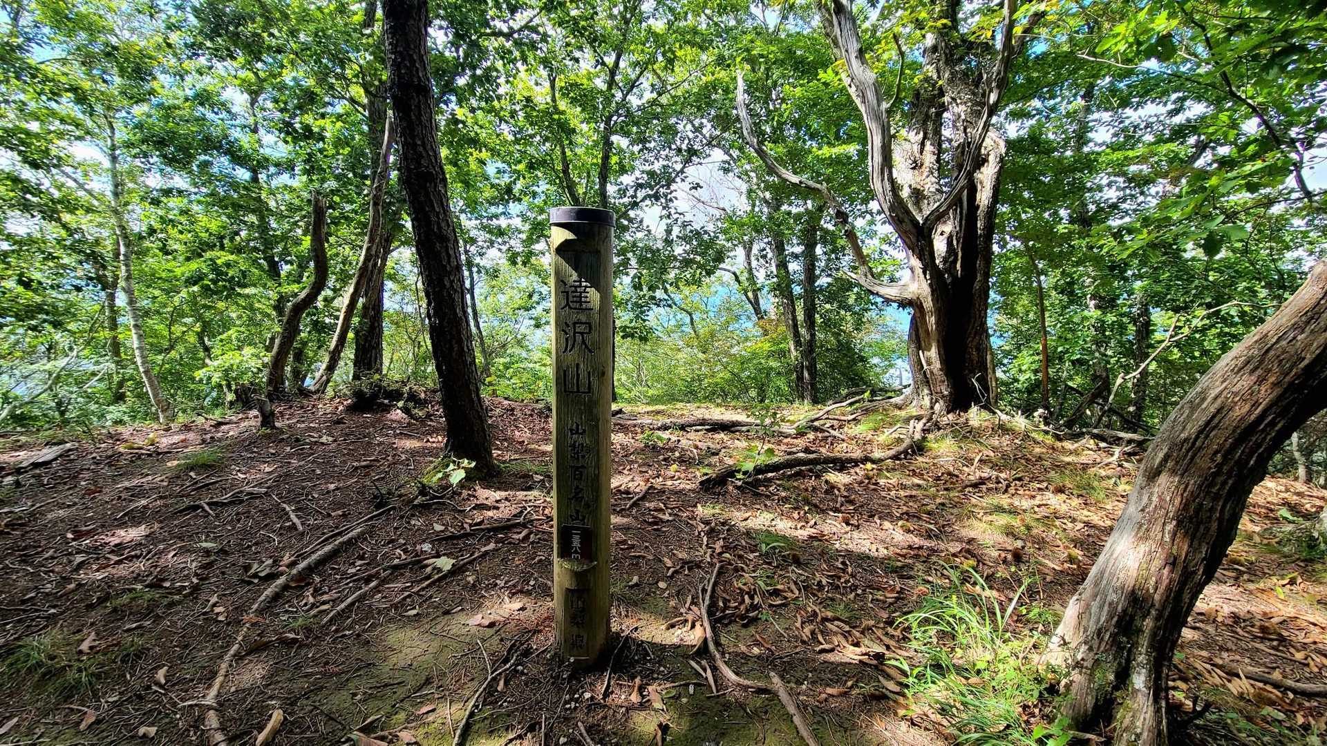 達沢山  #83
とりあえず山百は終了〜
仕事しながらの登山は少し無理がありました