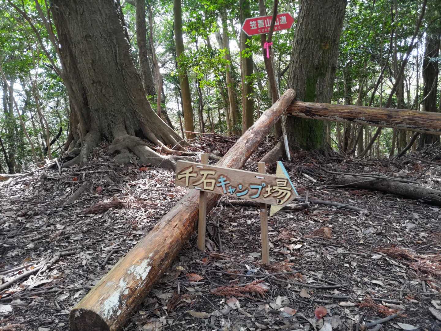 立派な標識発見📸