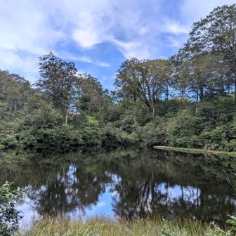 幻の池🏞️

息をのむ美しさ😮