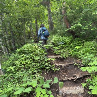 山道に入ると傾斜キツくなります➖💦