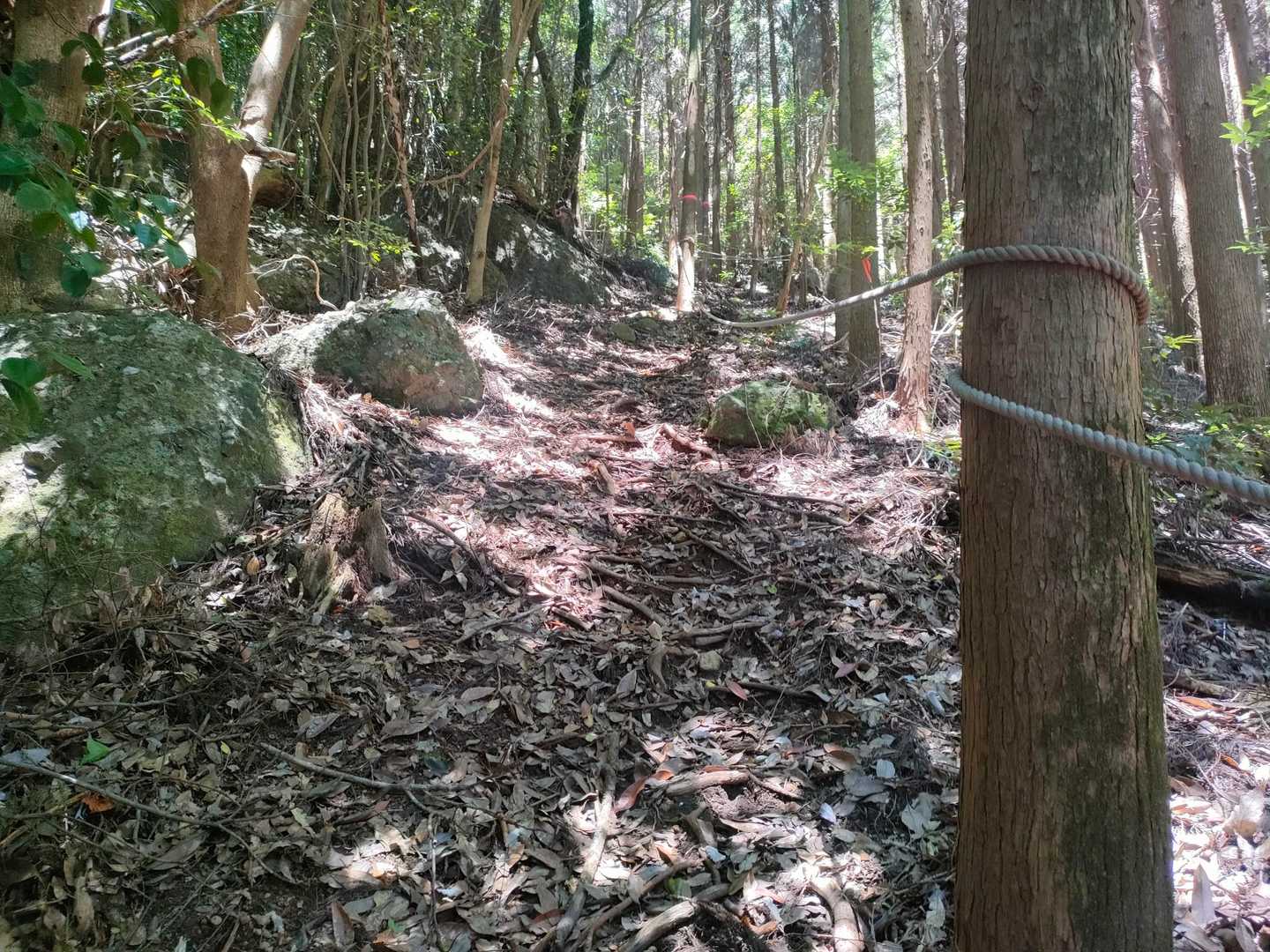 花尾山 周回コースの写真