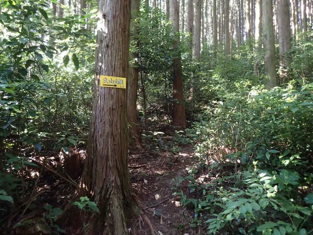 丸山の写真