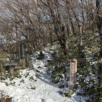 駒ヶ岳からCCWに周回のつもり