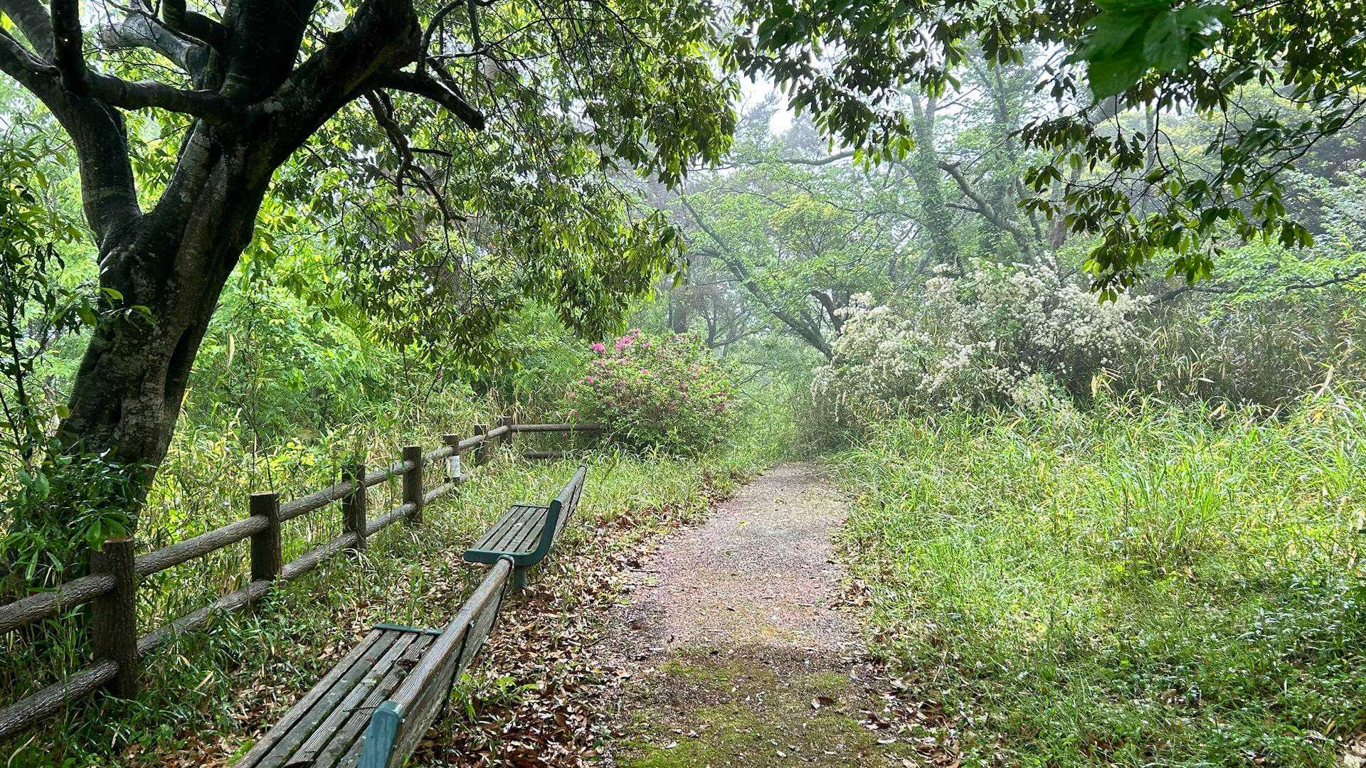 時期が合えば色んな花や花のトンネルを抜けれるみたいです！