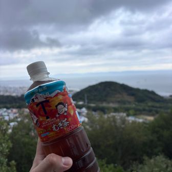 水しか持ってなかったのでお茶をがぶ飲む