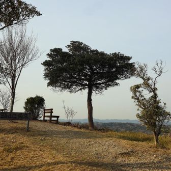 さっそく鍋山▲

眺めヨシ📣