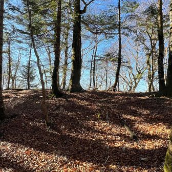 本日の最高地点1448m地点
山名はありません