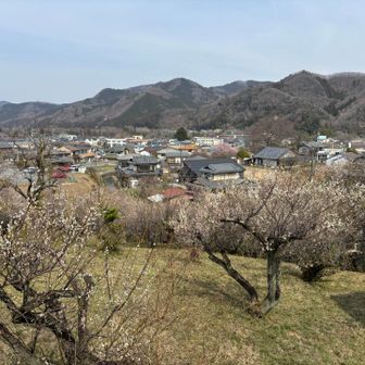 酒蔵も梅林に囲まれた眺めの良いところにありました
楽しい山歩きでした
