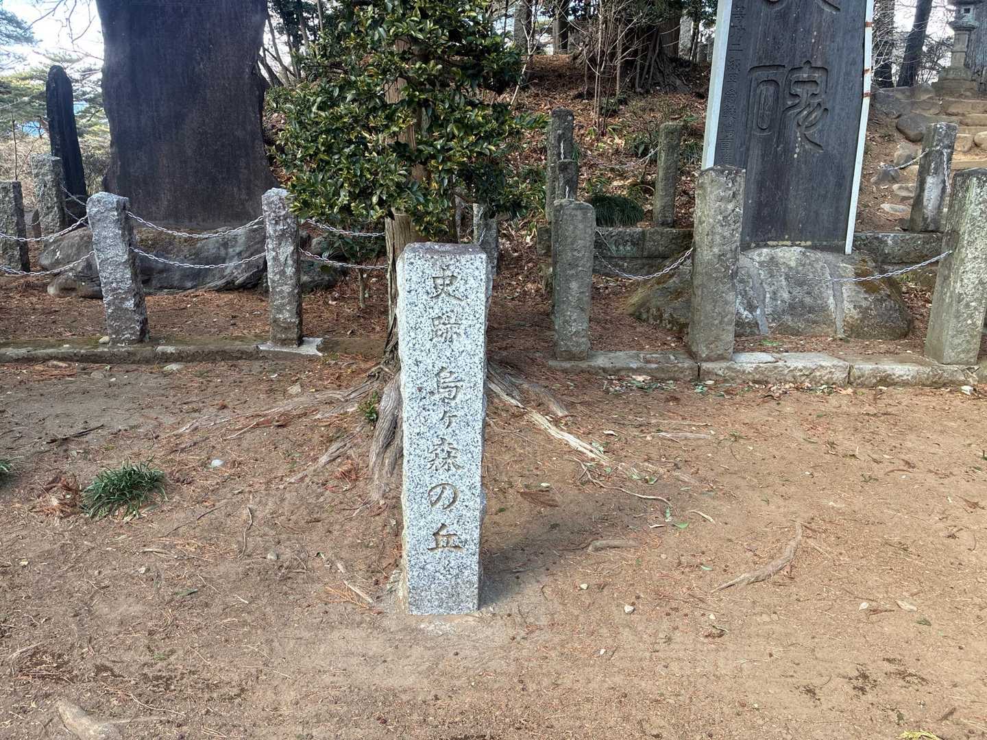 烏ヶ森 往復コースの写真