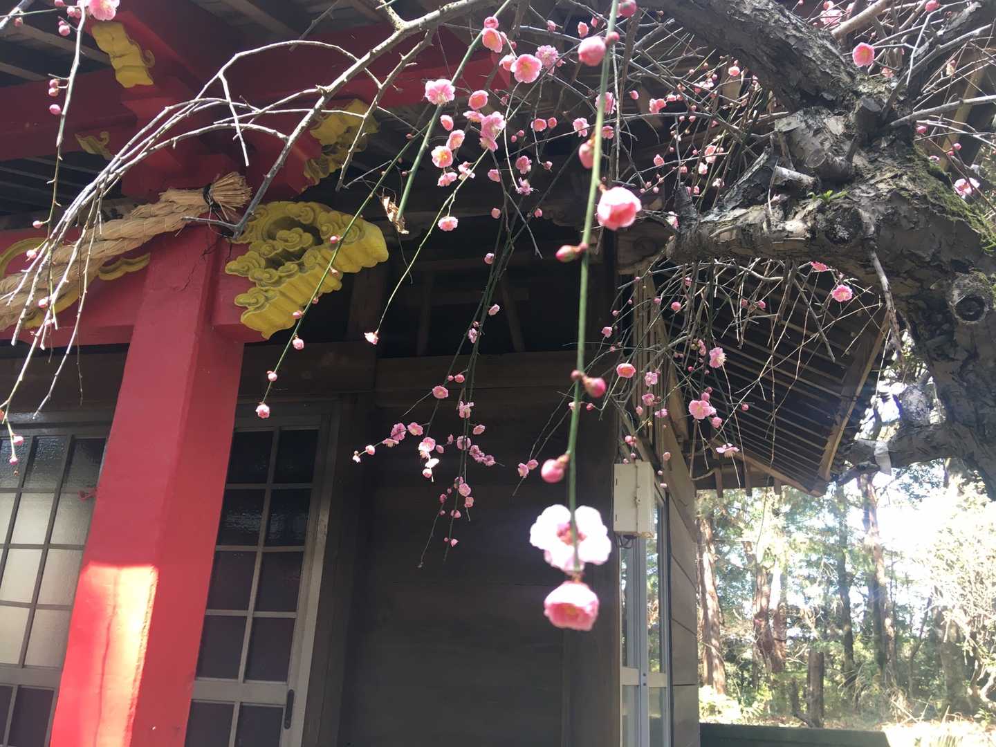 黒岩山（福岡県小郡市）の写真