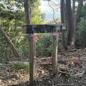 そのままなだらかなアップダウンで烏帽子形山⛰️