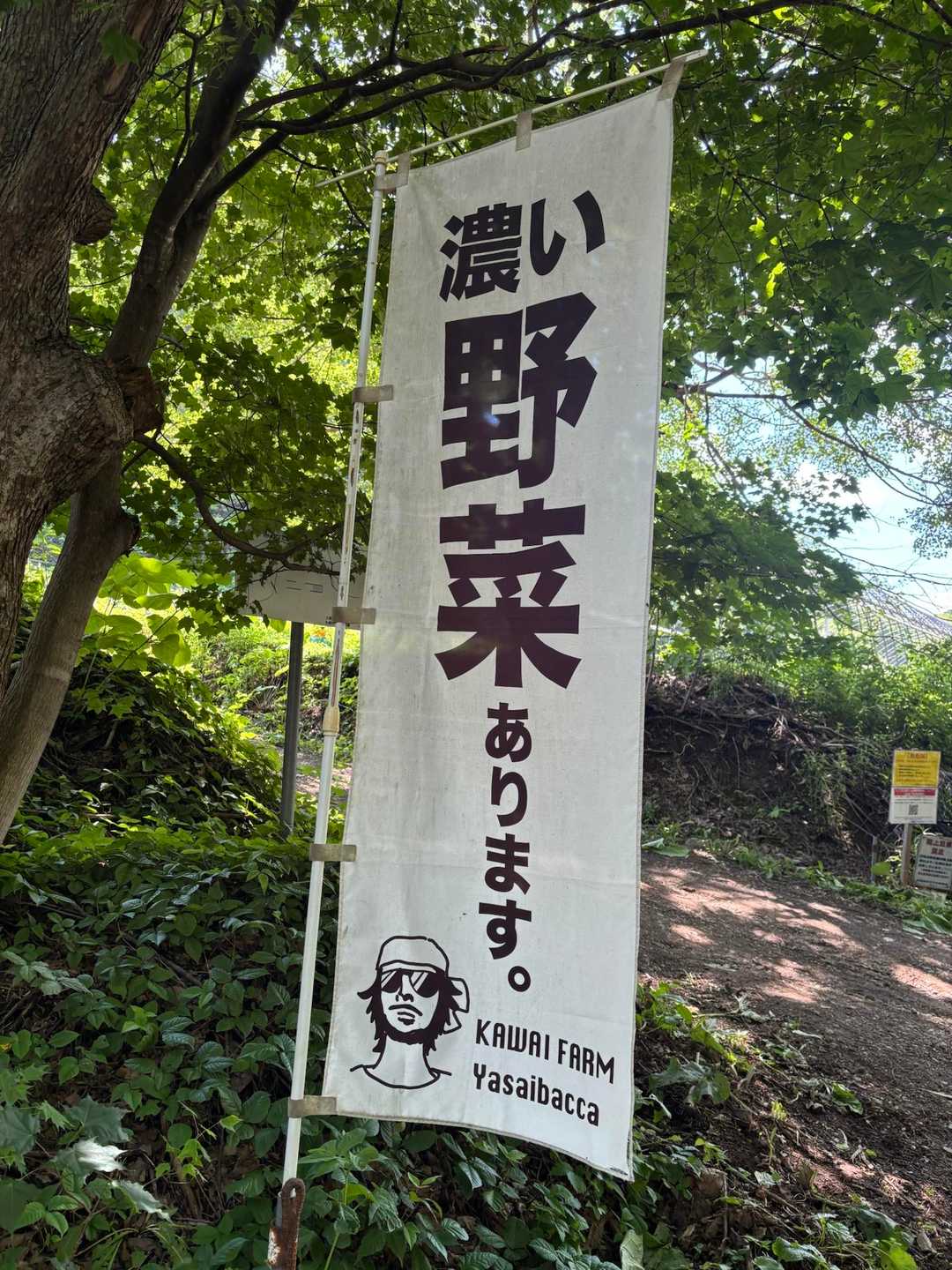 三角山-大倉山-奥三角山 縦走コースの写真