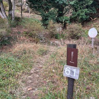 Aコースへ向かう