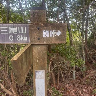 分岐に到着