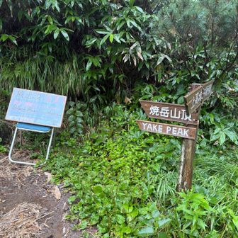 山小屋まで来ましたが、まずは山頂！