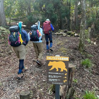 ツキノワグマ生息地域🐻の看板が…😰
会いませんように… 相方さんはクマ避け匂い袋を付けてます。