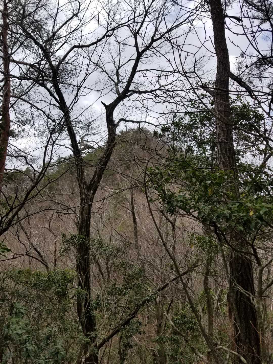葦嶽山の写真
