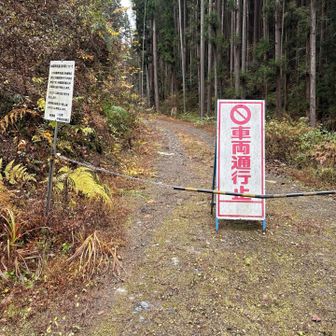 車🚗はここまで⛔️
