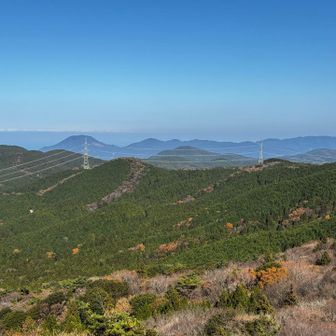所々に見える色付いた樹々🌳
植林前の姿も見てみたかったです😌