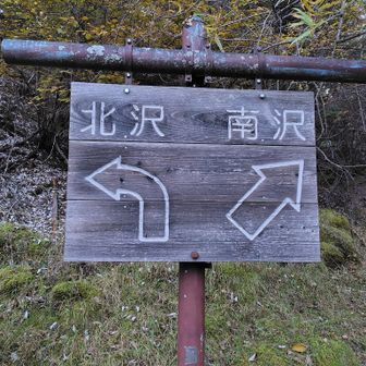 ⬅️北沢
➡️南沢
今回は南沢ルートで行者小屋を目指すことに💪