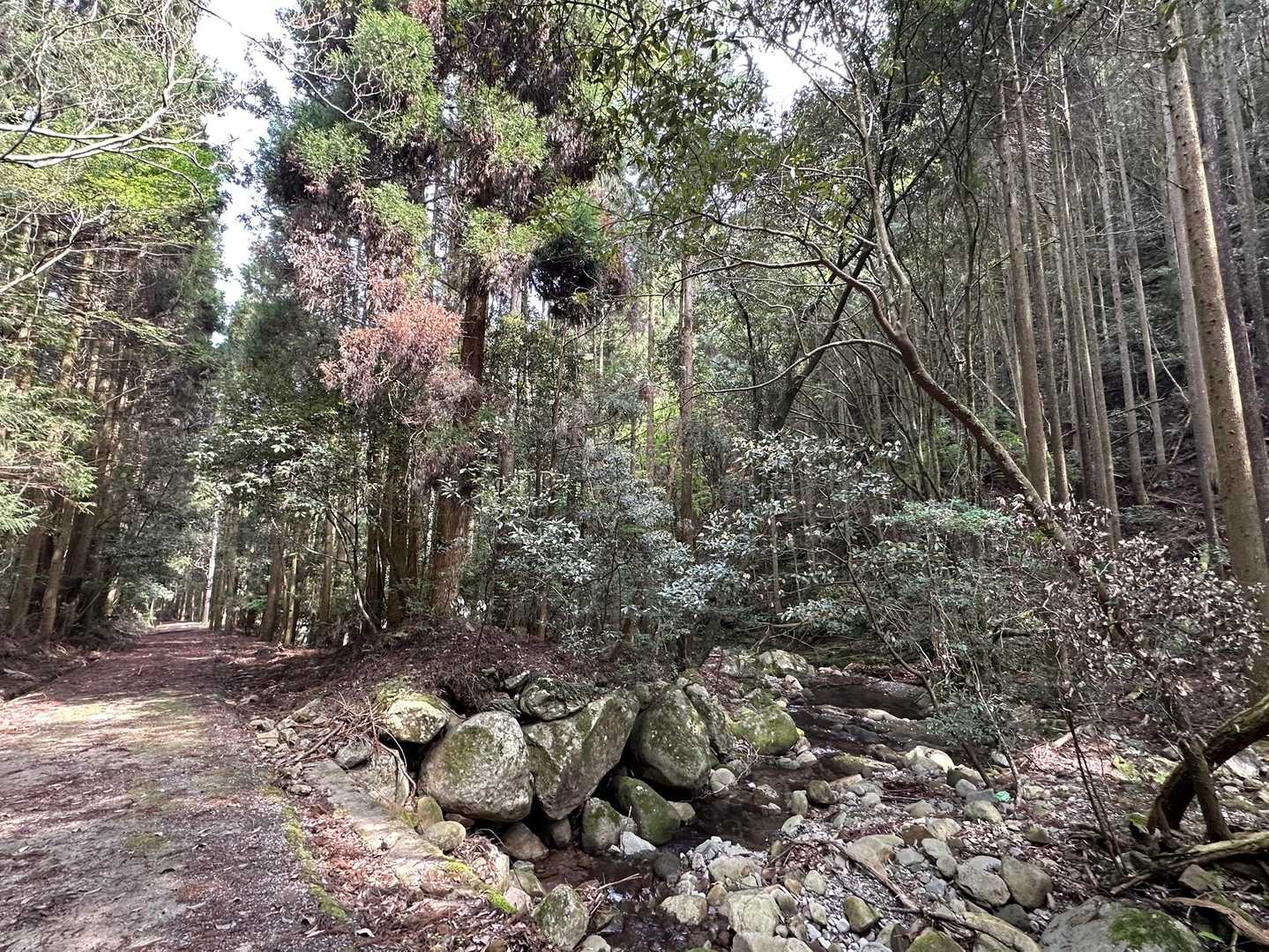 川筋の変化も絵になり😍
激上り、激下りした山行の癒しとなる☺️