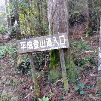 加江田渓谷を歩き（ウォーミングアップ）、ここから本格的な登り開始です🥾