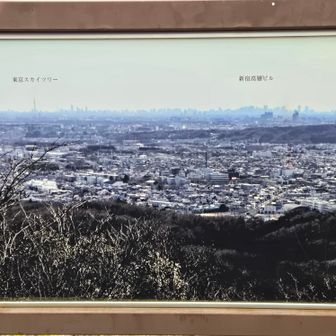 眼下の町並みは、飯能市街ですね！