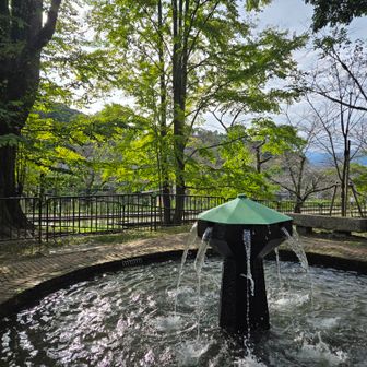 今日はこちらの公園でお疲れさま☺️