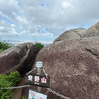 ほぼ貸し切り交野山