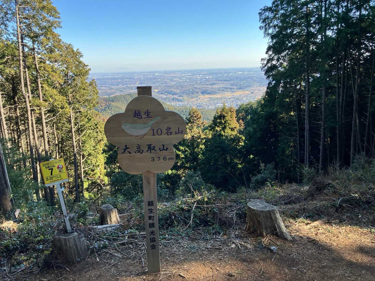 大観山-根っこ山-大高取山 往復コースの写真