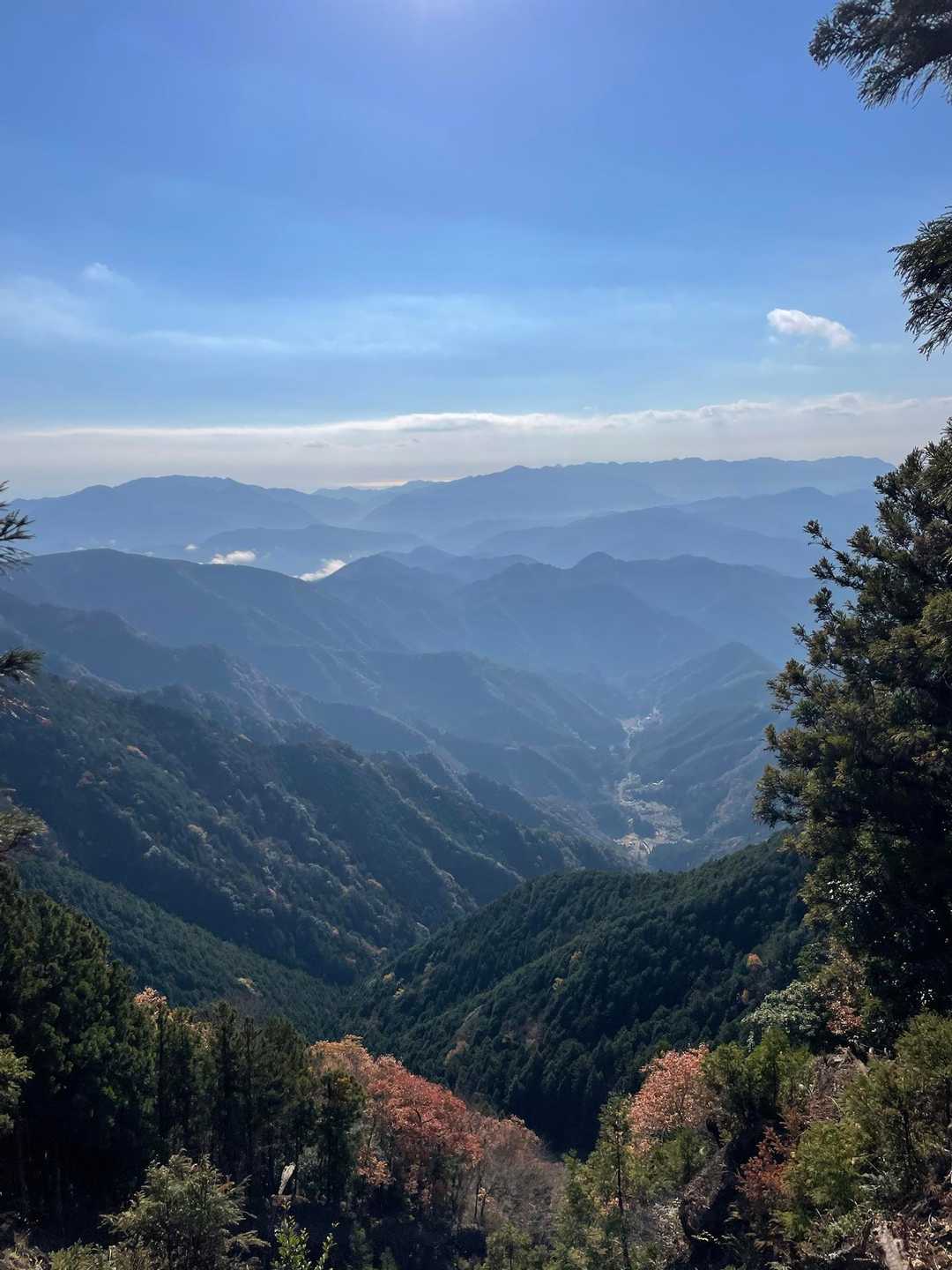 大森山-五大尊岳 往復コースの写真