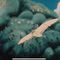 Nausicaa