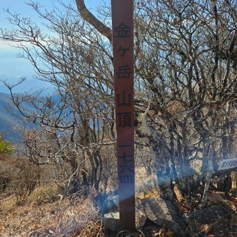 金ヶ岳に到着‼️