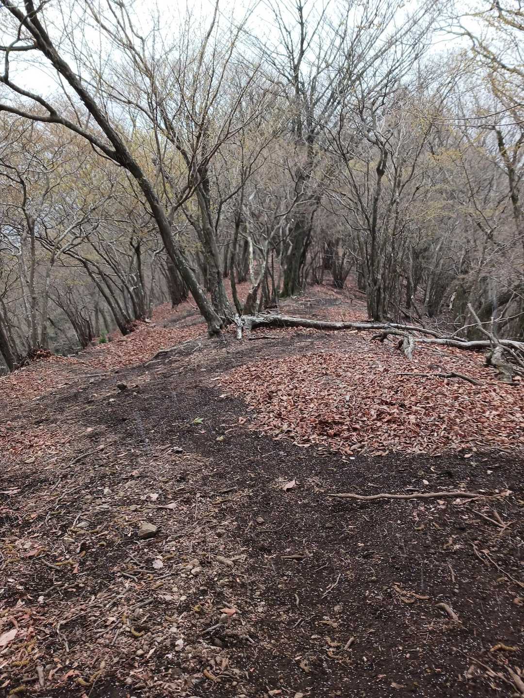 半べそかきながら下山してると冷たいアラレが降ってきた😢