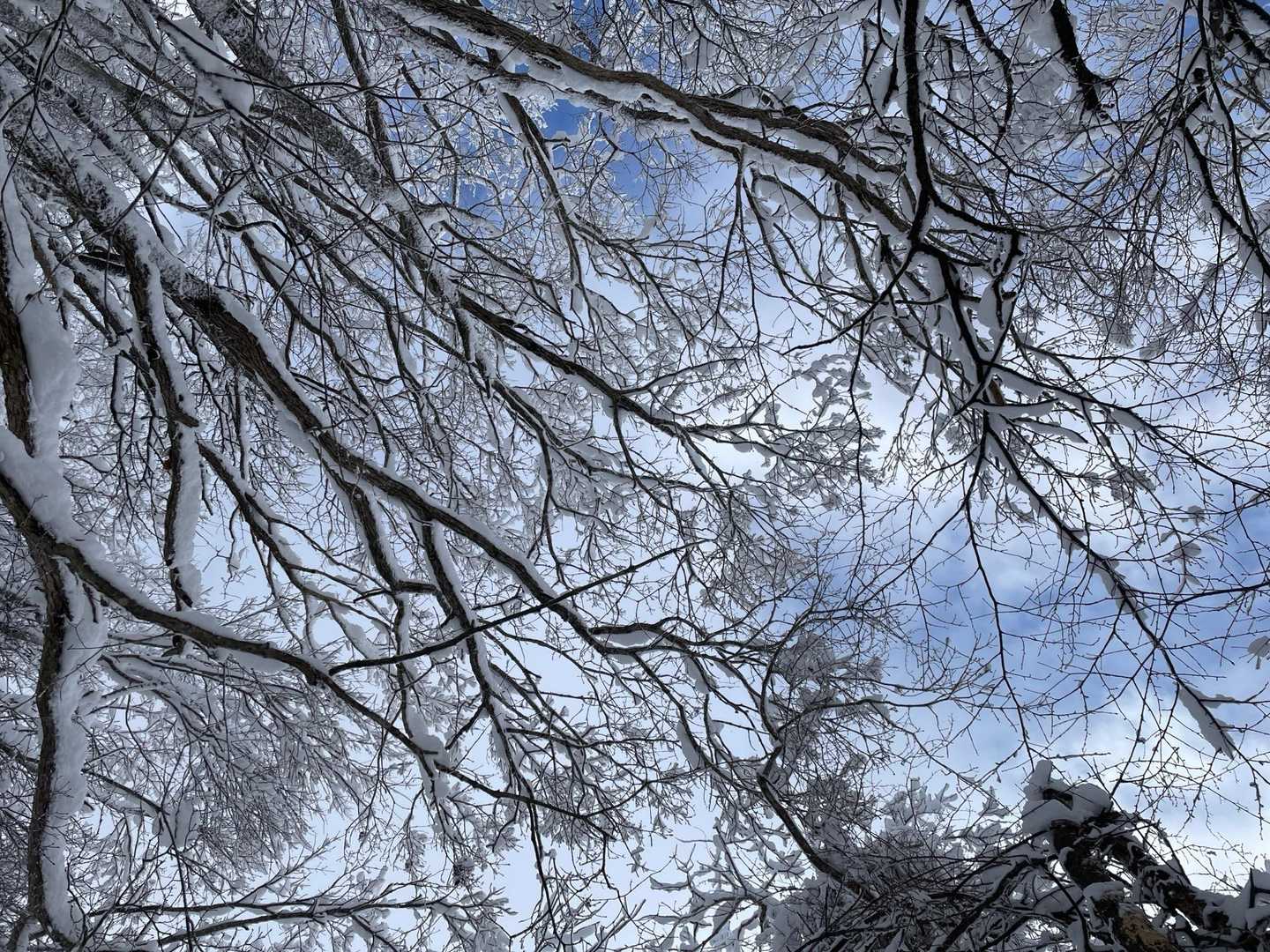 雪山遊びを堪能しました♪