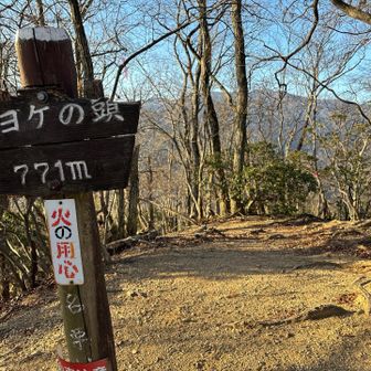 写真の奥から出てきました