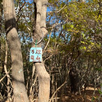 万燈籠山山頂🔺150ｍ

ここから、山の中を西山まで歩いていけそうなのですが、YAMAP の地図を見ると立ち入り禁止マークが⚠️😳

京都市上下水道局松ヶ崎浄水場の敷地内に入ってしまうからダメなんですって😓

なので、
一旦くだります😅