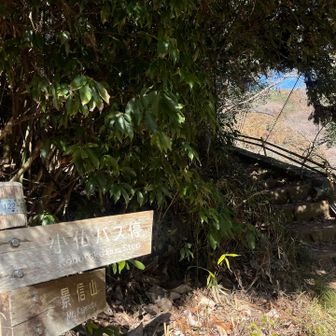 あっというまに下山、
ここからは舗装路で15分