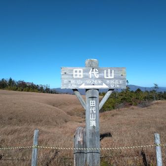 山頂ぽくないところにある山頂標識。なんなかわいく見えてきた。わーい。