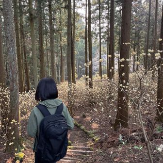 駐車場へ向かいます〜