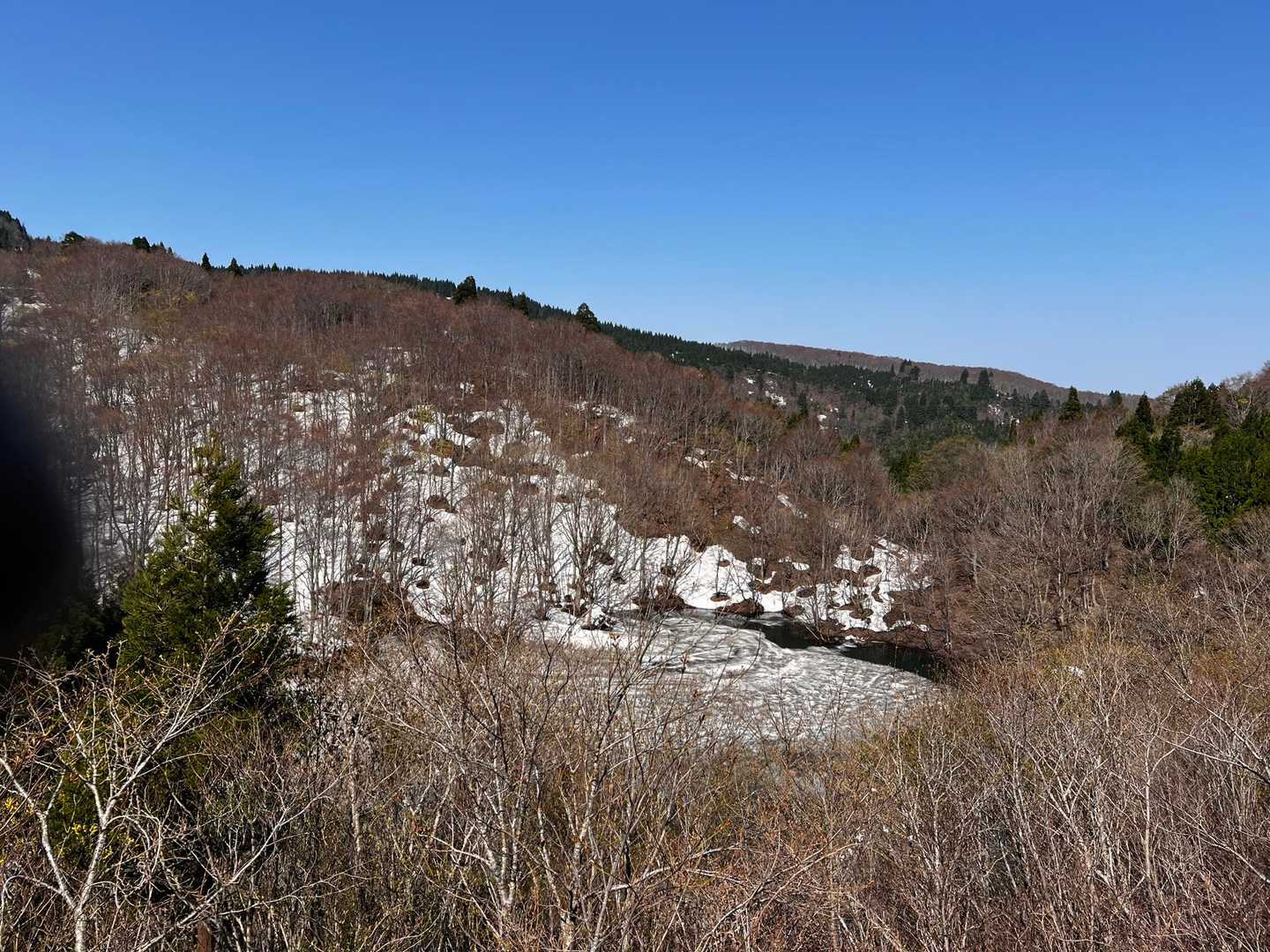 ショウブ池、まだ凍っている。
