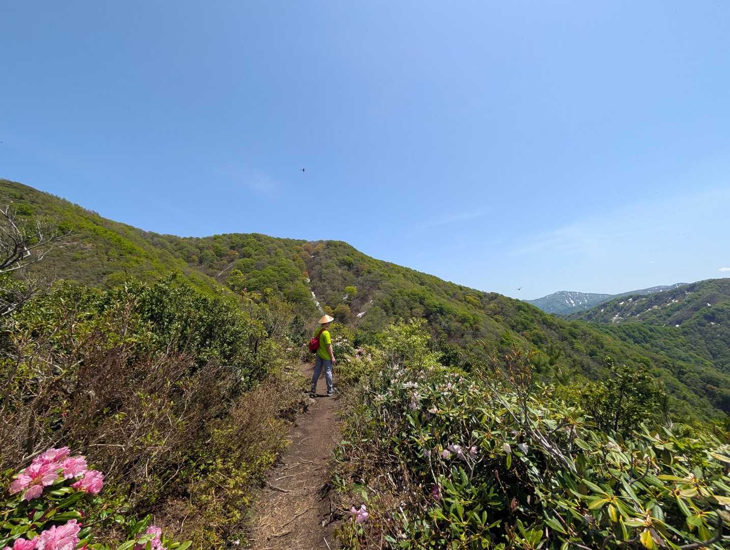 大内谷川登山口-富士写ヶ岳 往復コースの写真