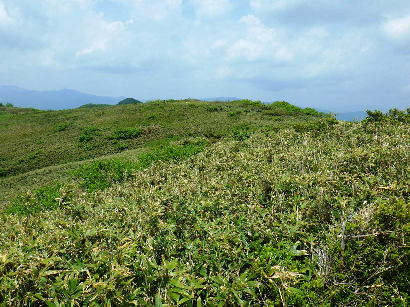高い山は霞んで見えます