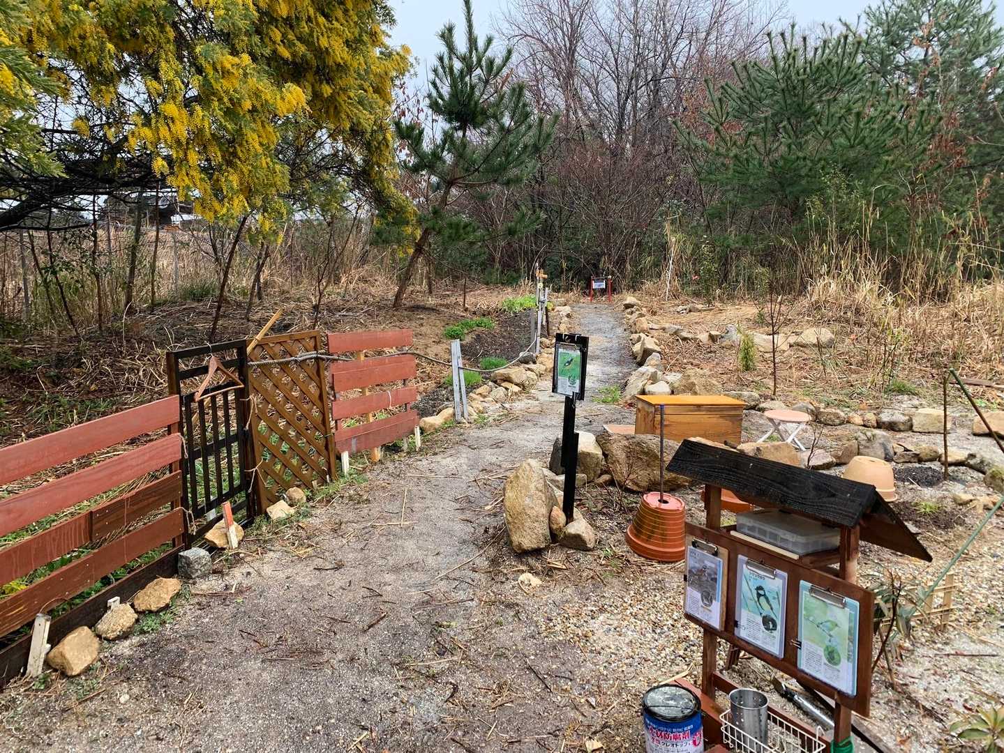 手作りの可愛い公園😍
雨が降ってなければ野鳥も居たのかなー☺️
今日は遠くに1〜2羽☺️