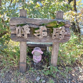 呼子岳だけどポイントが違う(--;)