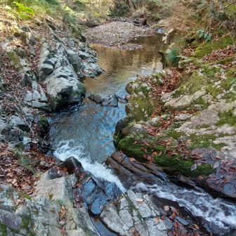 左門岳 小滝もあった。